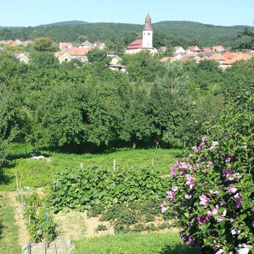 Domboldal Vendégház Noszvaj Extérieur photo